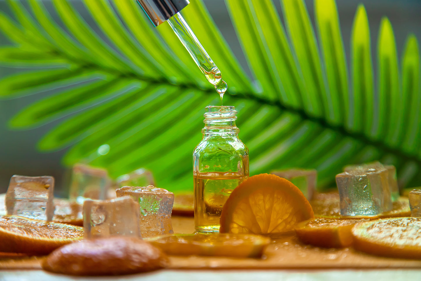 Plant-based and endogenous compounds in focus: Melatonin, Sulforaphane, Berberine & Thymoquinone