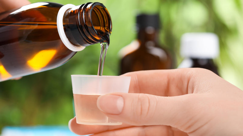 Pflanzliche Mikronährstoffe im Fokus: Curcumin, Resveratrol, Quercetin und EGCG